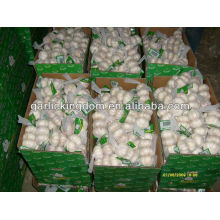 5.5cm 3P normal white garlic for russia market